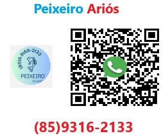 panfleto Peixeiro Arios.png