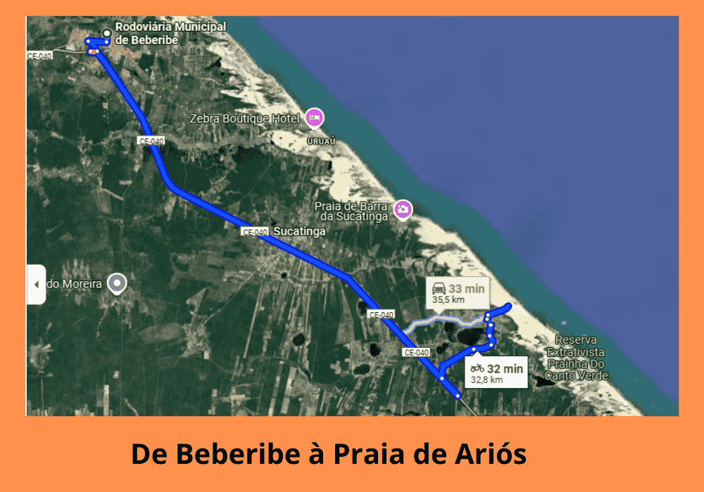 bebe ari (1000 x 700 px).png