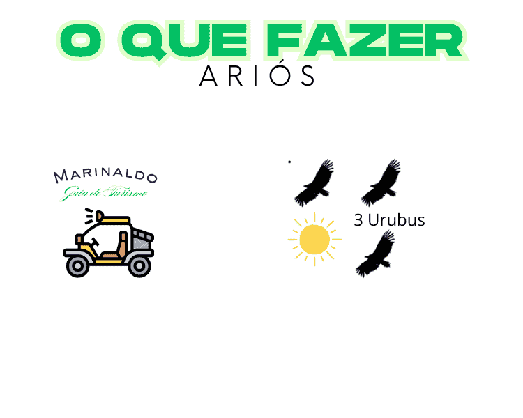 o que fazer (750 x 600 px).png