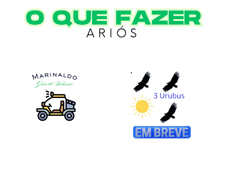 o que fazer 1 (750 x 600 px).png